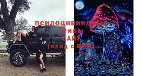 кокс Аркадак