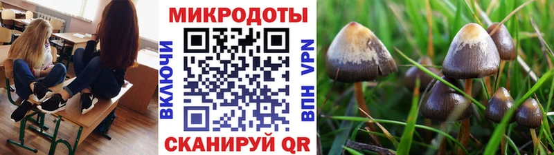 Галлюциногенные грибы Psilocybine cubensis дарнет шоп Радужный