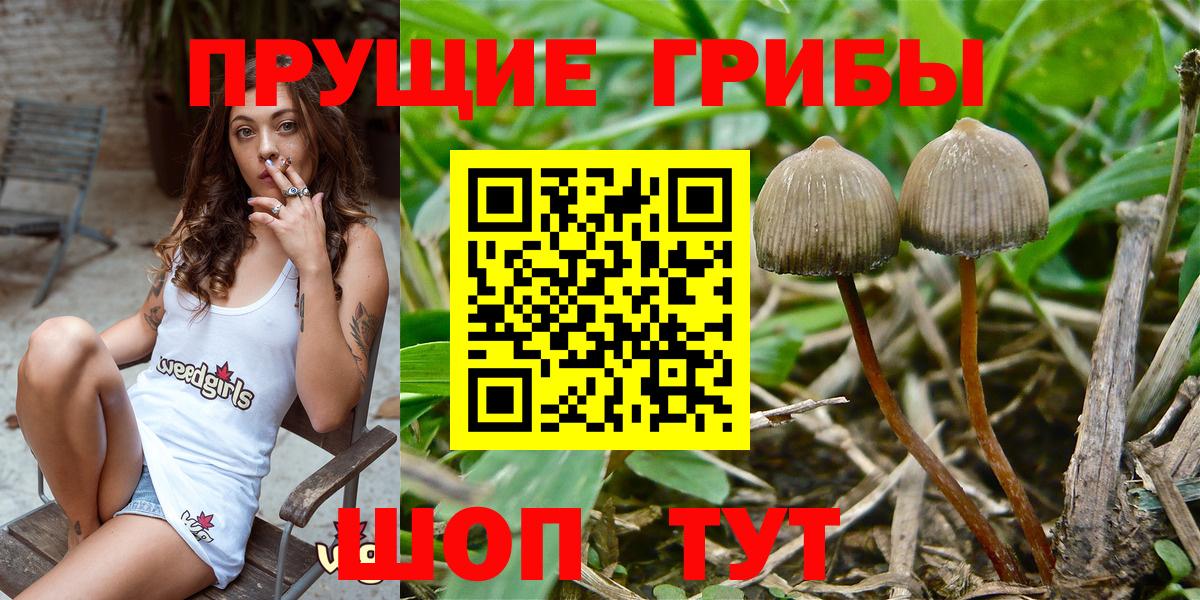 Радужный  Галлюциногенные грибы Psilocybe  продажа наркотиков  Вход с VPN 